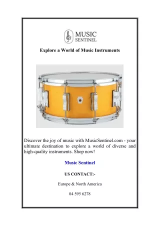 Explore a World of Music Instrum