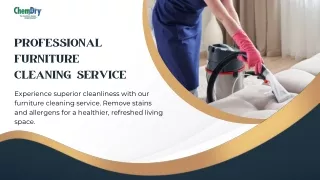 Discover The Ultimate Professional Furniture Cleaning Service
