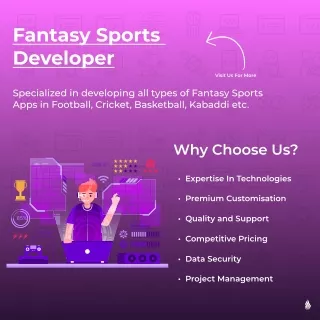 Fantasy sports developer - Sciflare