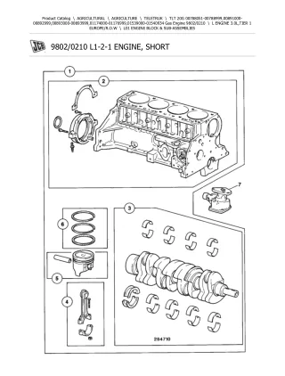 JCB TLT 20G (Gas Engine) Teletruk Parts Catalogue Manual (Serial Number 00788051-00788999)