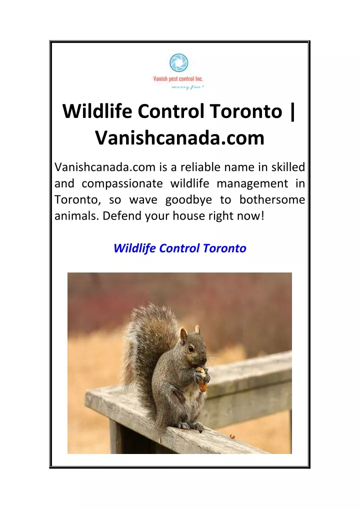 wildlife control toronto vanishcanada com