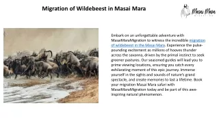 Migration of wildebeest in masai mara
