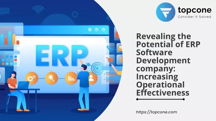 revealing the potential of erp software