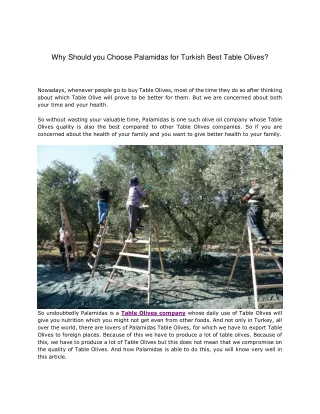 Why Should you Choose Palamidas for Turkish Best Table Olives.docx