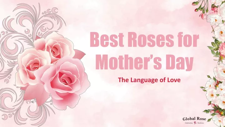 best roses for mother s day