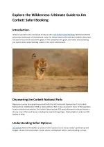 Explore the Wilderness Ultimate Guide to Jim Corbett Safari Booking - slide 1