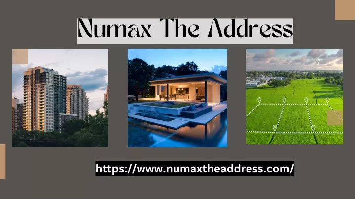 numax the address