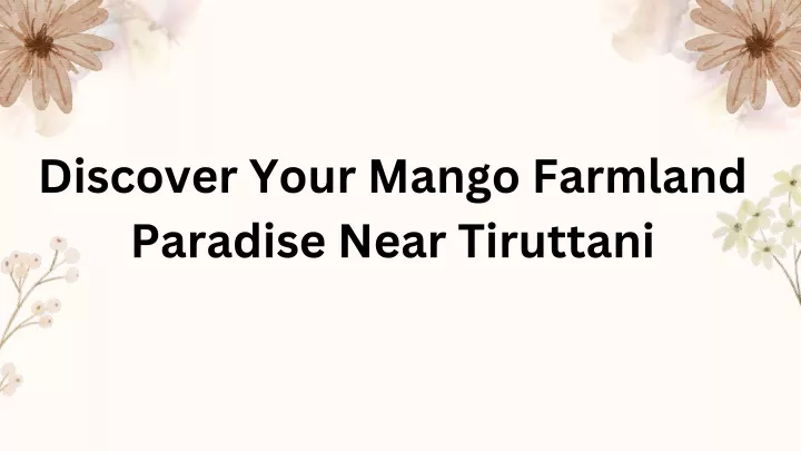 discover your mango farmland paradise near