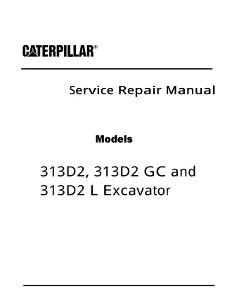 Caterpillar Cat 313D2 L Excavator (Prefix RDE) Service Repair Manual (RDE00001 and up)