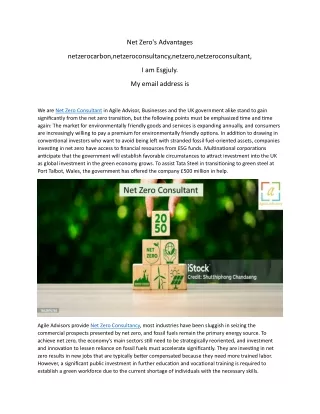 net zero s advantages