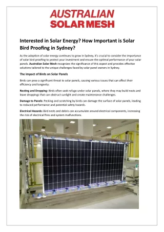Interested in Solar Energy - How Important is Solar Bird Proofing in Sydney