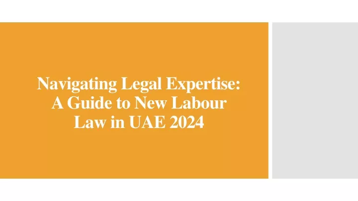 navigating legal expertise a guide to new labour law in uae 2024