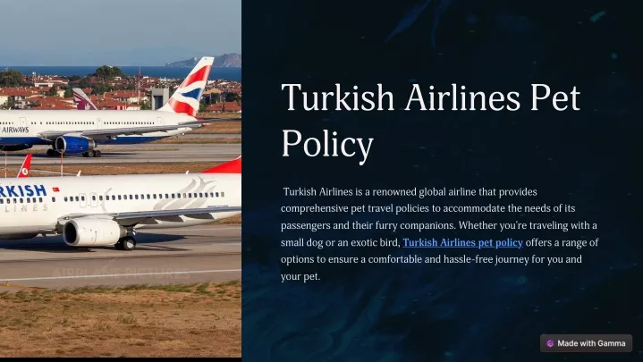 turkish airlines pet policy