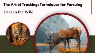 Bowhunting Habitat and Tracking Service