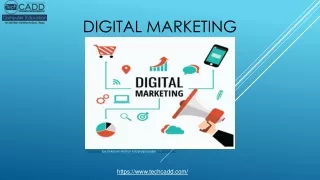 Best Digital Marketing Training and Course Jalandhar, Punjab