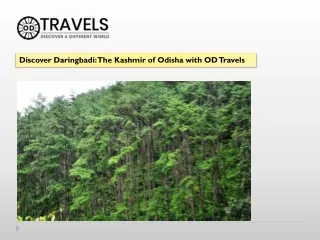 discover daringbadi the kashmir of odisha with