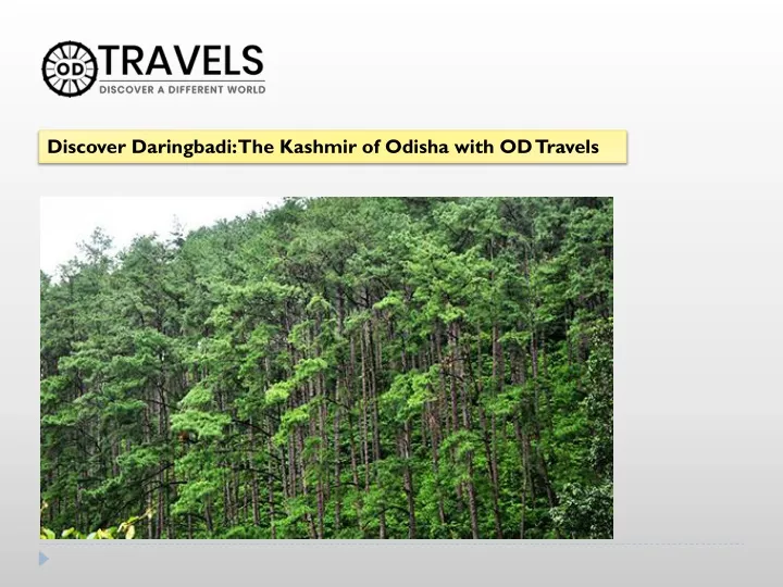 discover daringbadi the kashmir of odisha with