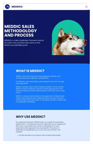 Revolutionize Your Sales Approach The MEDDIC Framework Unveiled