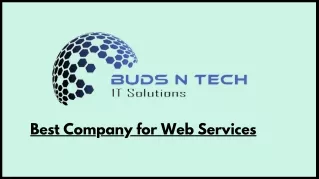 Buds  N Tech : A Website Service company