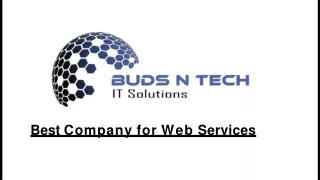 Buds  N Tech : A Website Service company