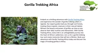 Gorilla trekking Africa