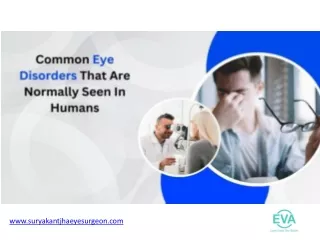 Common Eye Disorders That Are Normally Seen In Humans