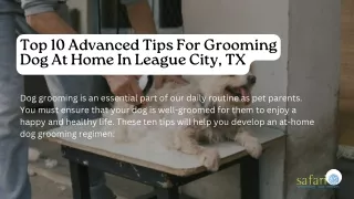 Top 10 Advanced Tips For Grooming Dog At Home In League City, TX