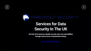 Services for Data Security In The UK