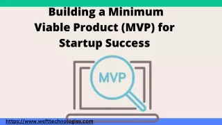 building a minimum viable product mvp for startup