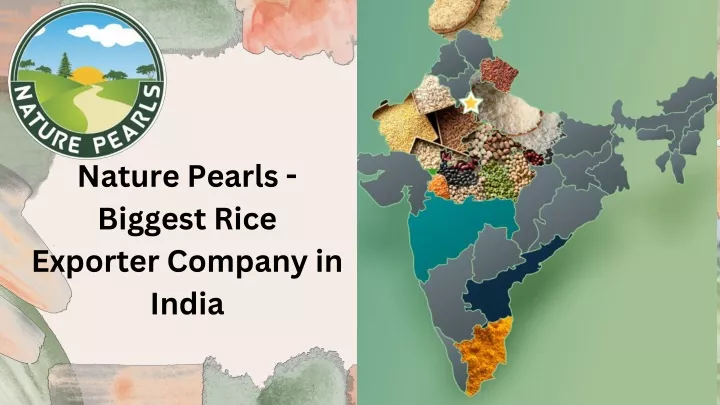 nature pearls biggest rice exporter company