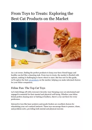From Toys to Treats_ Exploring the Best Cat Products on the Market