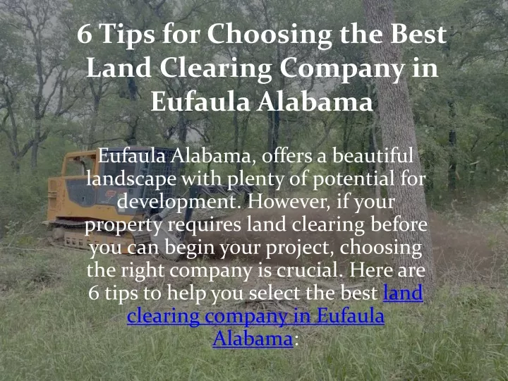 6 tips for choosing the best land clearing company in eufaula alabama