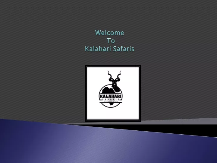 welcome to kalahari safaris