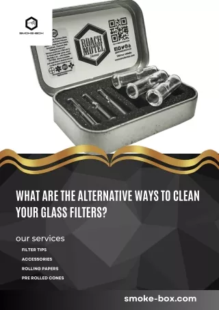 What are the Alternative Ways to Clean Your Glass Filters?