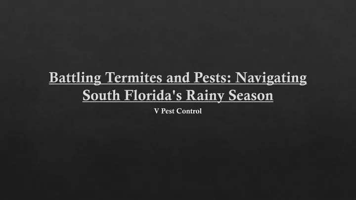 battling termites and pests navigating south florida s rainy season