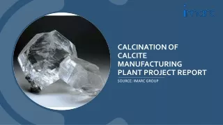 calcination of calcite Manufacturing Plant Project