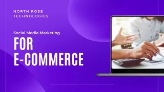 Enhance Your E-commerce Presence with North Rose Technologies