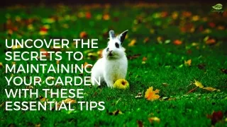 Uncover The Secrets To Maintaining Your Garden With These Essential Tips