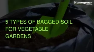 5 types of bagged soil for vegetable gardens