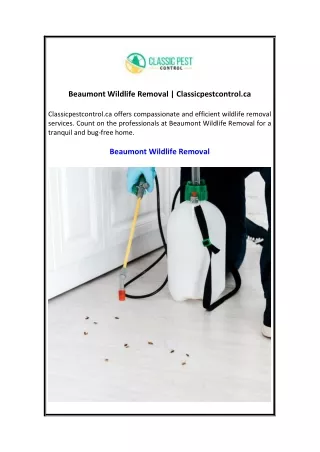 Beaumont Wildlife Removal  Classicpestcontrol.ca