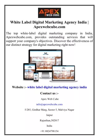 White Label Digital Marketing Agency India  Apexwebcube.com