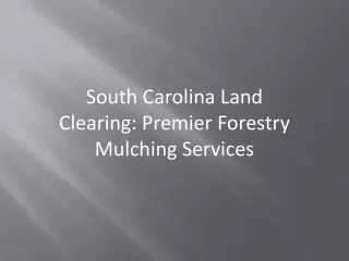 South Carolina Land Clearing Premier Forestry Mulching Services