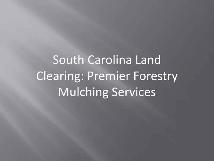 south carolina land clearing premier forestry mulching services