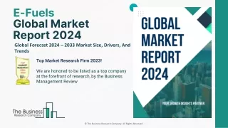 E-Fuels Market Share, Size And Global Forecast Report To 2033