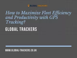how to maximize fleet efficiency and productivity
