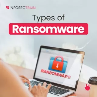 Decoding Ransomware: Understanding the Various Types and Their Impacts