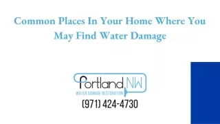 Common Places In Your Home Where You May Find Water Damage