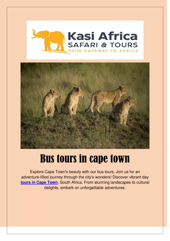 bus tours in cape town