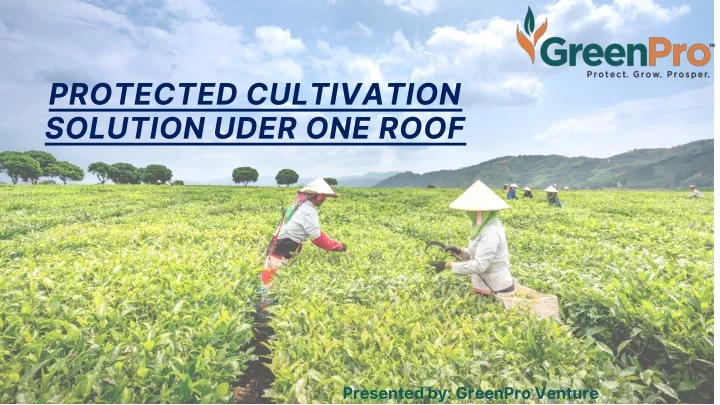 protected cultivation solution uder one roof