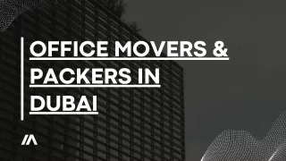 Top-Notch Service: Lyon Movers Dubai